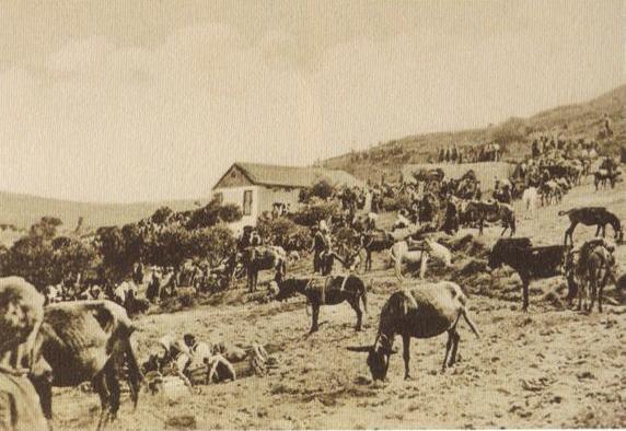 Βόνη Κρήτη