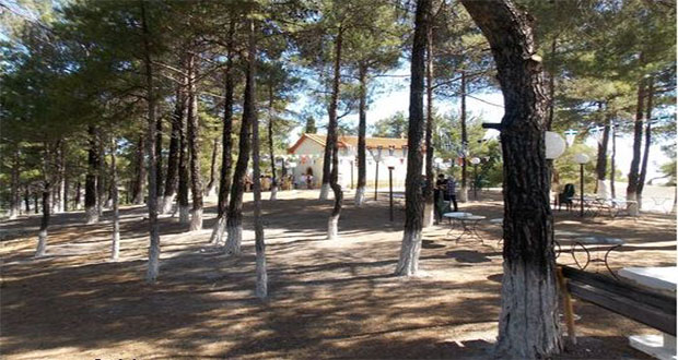 Πανηγύρι Αγίων Αναργύρων στην Αγία Σοφία Κυνουρίας
